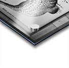 The Pen is Mightier than... Acrylic print