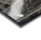 The Edge of Silence Impression Acrylique