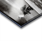 Beach Tree Acrylic print