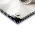 Orchid Acrylic print