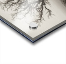 Dartmoor Solitude Acrylic print