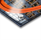 Flamingo Reflections Acrylic print