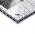 Reeds and Clouds Impression Acrylique