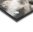 Steps to Scurdie Ness Acrylic print