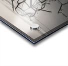 Washed Ashore Acrylic print