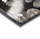 Water Lily After Rain Impression Acrylique