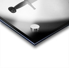 Blade of the Giants II Acrylic print