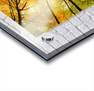 Autumnal Display Acrylic print