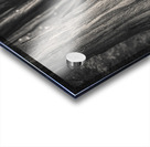 Plas Newydd Trees Acrylic print