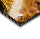 Autumn in Melbourne Impression Acrylique