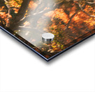 Shinjuku Gyoen Autumn Reflection Acrylic print