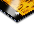 Sumida Kitchen Window Acrylic print