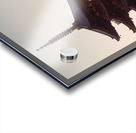 Yasaka Pagoda Acrylic print