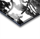 Kokyo Gaien Branches Acrylic print