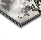 Pine Bonsai Reflection Acrylic print