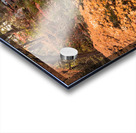 Autumn in Kokoen Garden Acrylic print