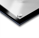 Kyoto House Plant Acrylic print