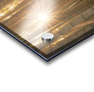 Sunlight in the Bamboo Forest Acrylic print