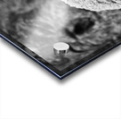 Smiling Rakan Acrylic print