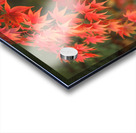 Japanese Red Maple Impression Acrylique