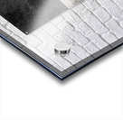 Mooring Ring Acrylic print