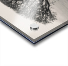 Islay Sentinel Acrylic print