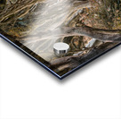 The Dark Hedges Acrylic print