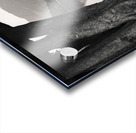  Rivulet to Buttermere Acrylic print