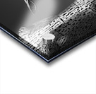 The Kelpies Acrylic print