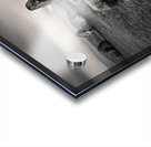 Castlerigg Stone Circle II Acrylic print