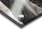 Torridon Trees Acrylic print