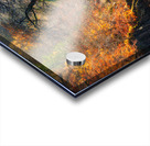 Autumn on River Garry Impression Acrylique