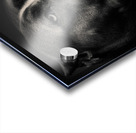 Big Fella Acrylic print