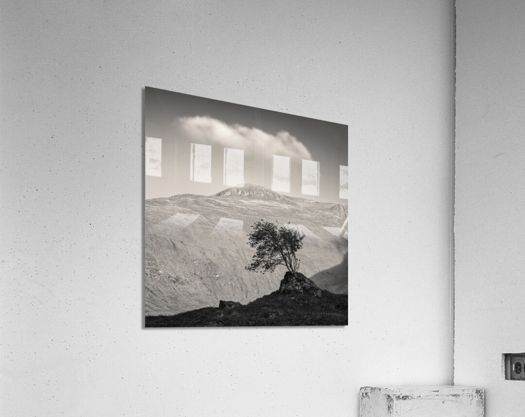Glen Shiel Tree Acrylic Print