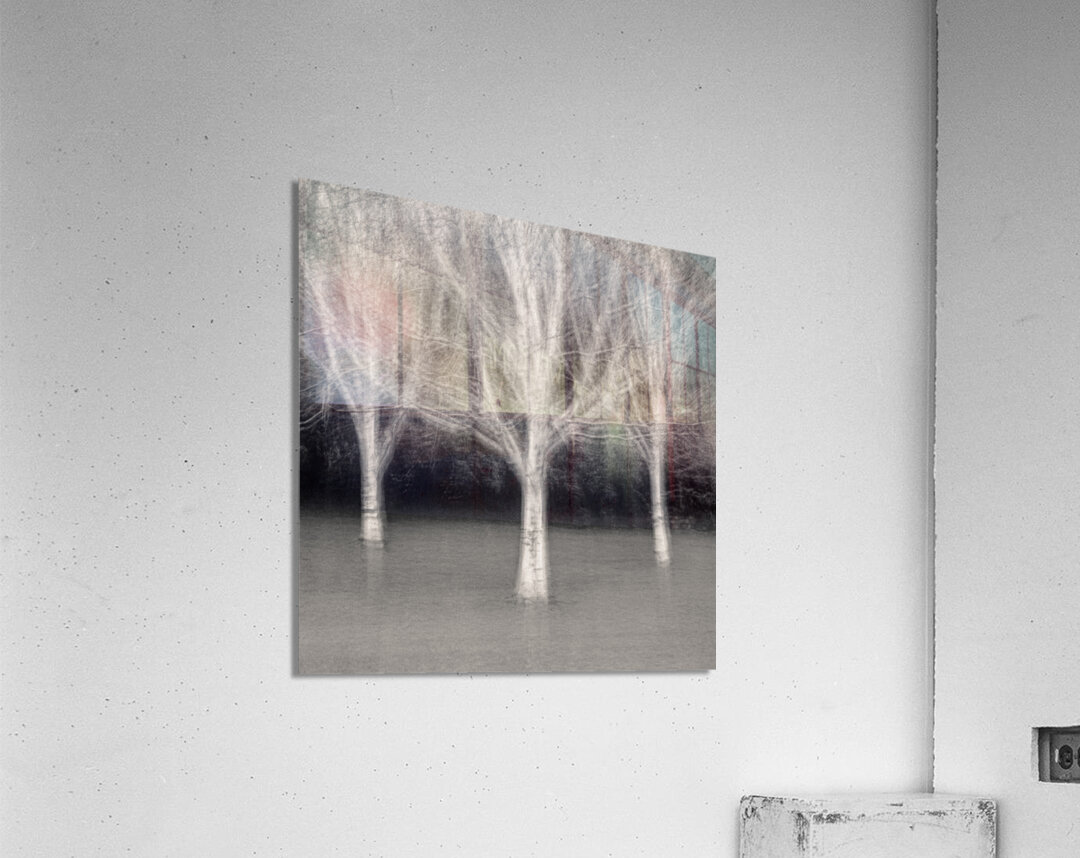 Three Trees Impression acrylique