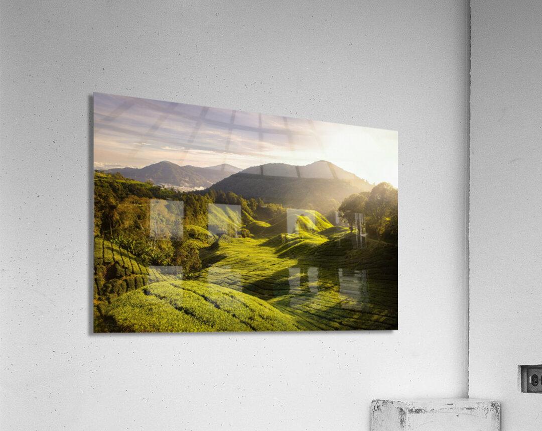 Tea Plantation Sunrise Acrylic Print