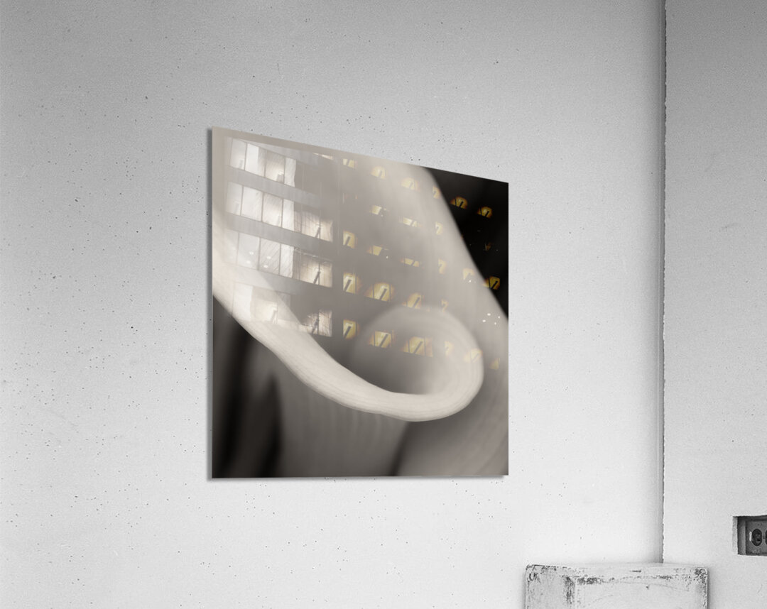 Delicate Beauty Acrylic Print