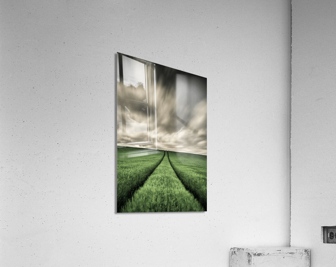 Field Tracks Acrylic Print