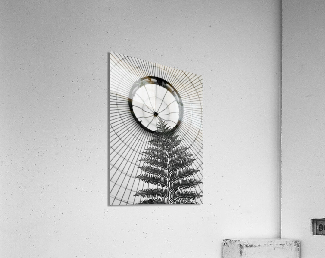 Fern and Dome Acrylic Print