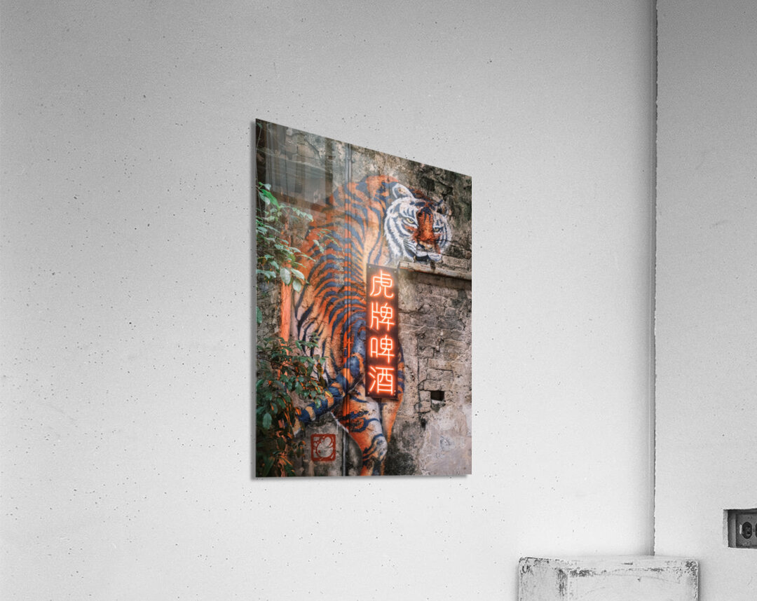 Wall Tiger Acrylic Print