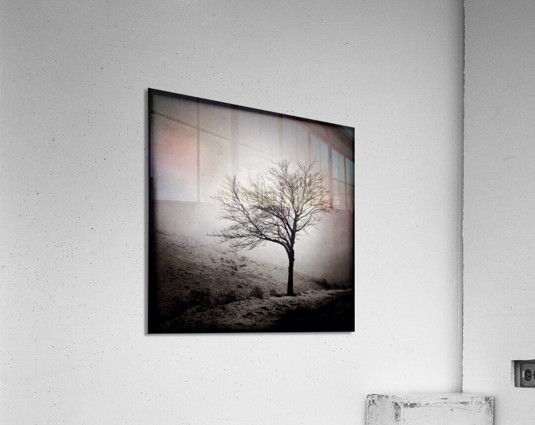 Winter Tree Acrylic Print
