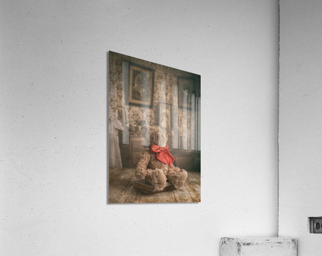 Bear and Books Acrylic Print