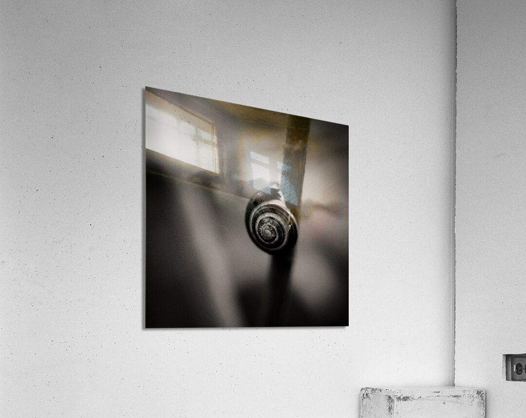 Woodland Study 11 Impression acrylique