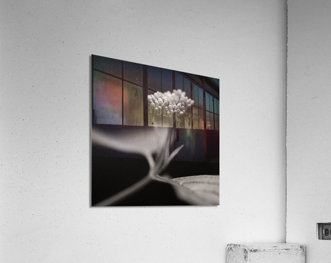 Woodland Study 4 Impression acrylique