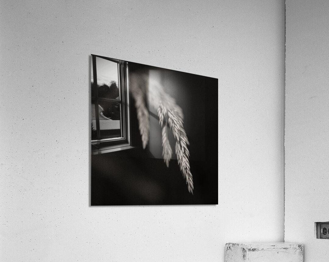 Woodland Study 7 Acrylic Print