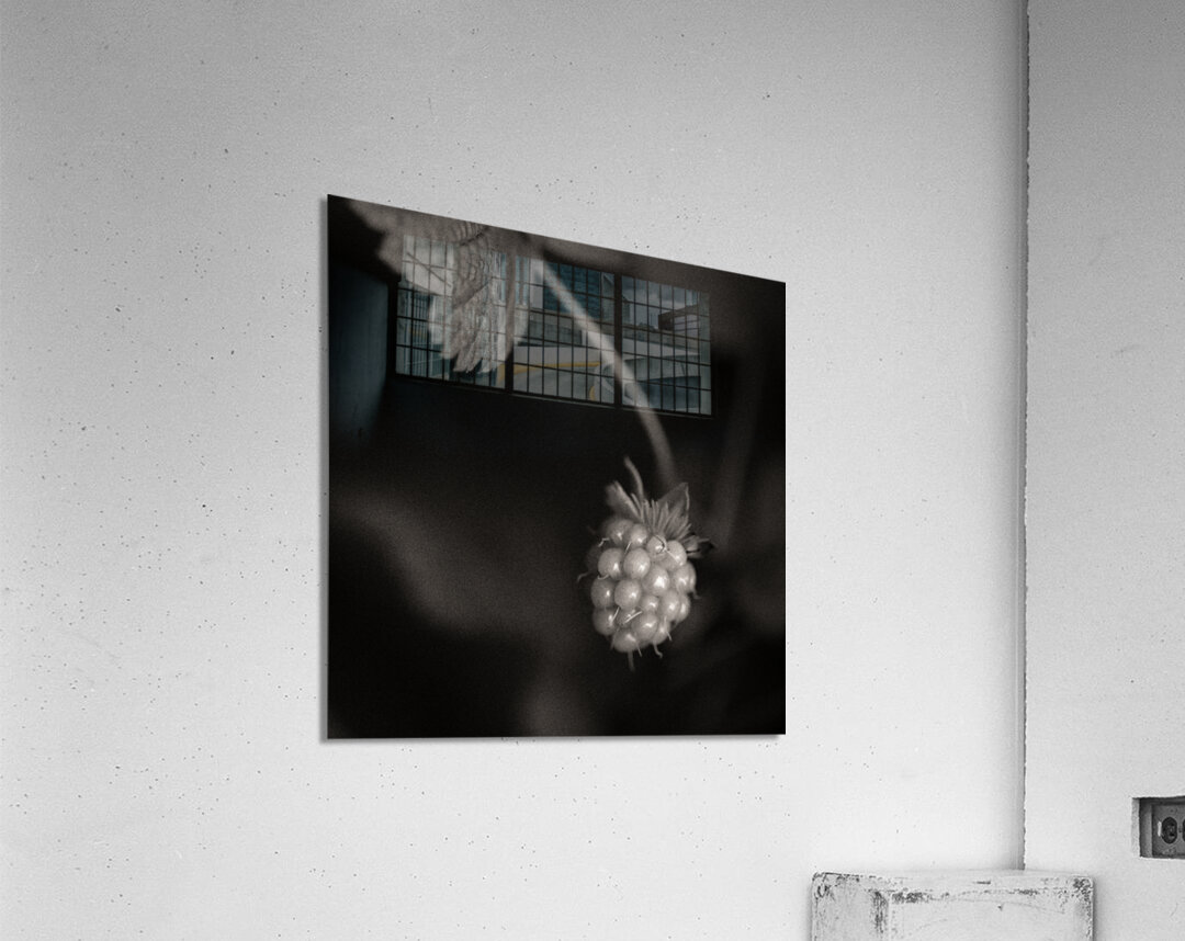 Woodland Study 10 Acrylic Print