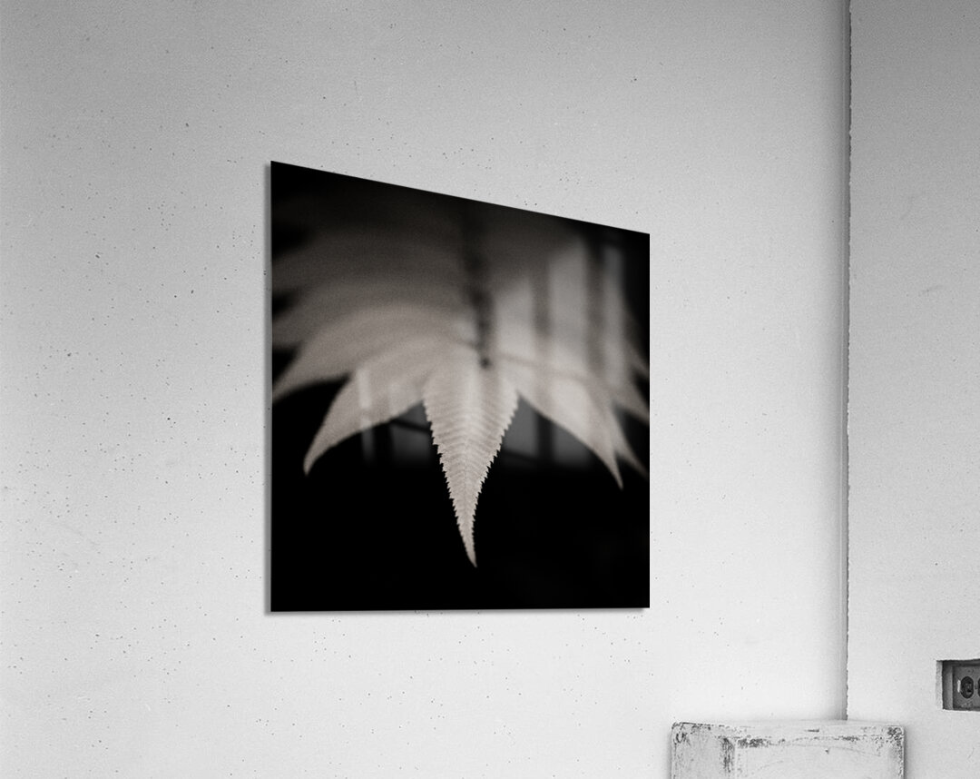 Woodland Study 8 Impression acrylique