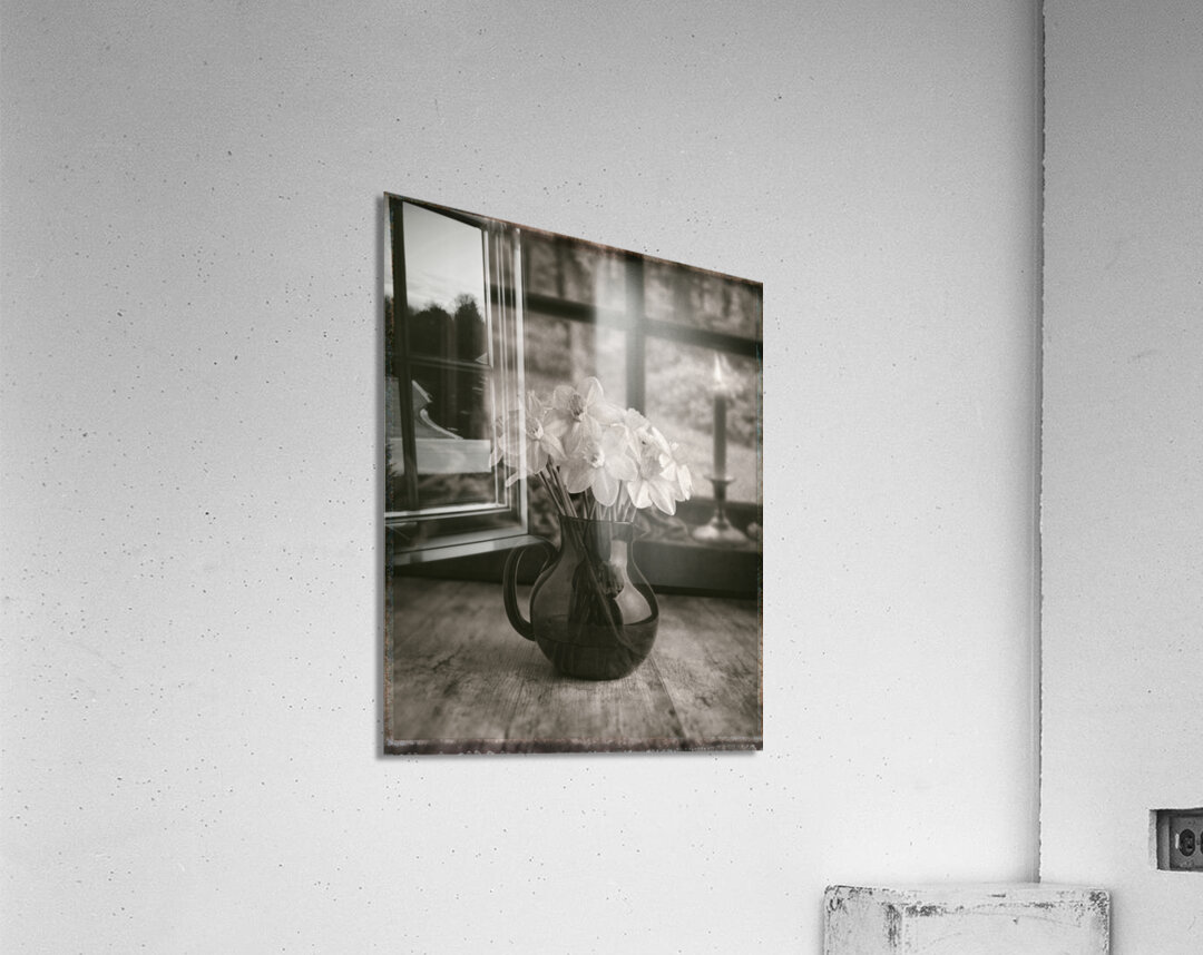 Daffodils Acrylic Print