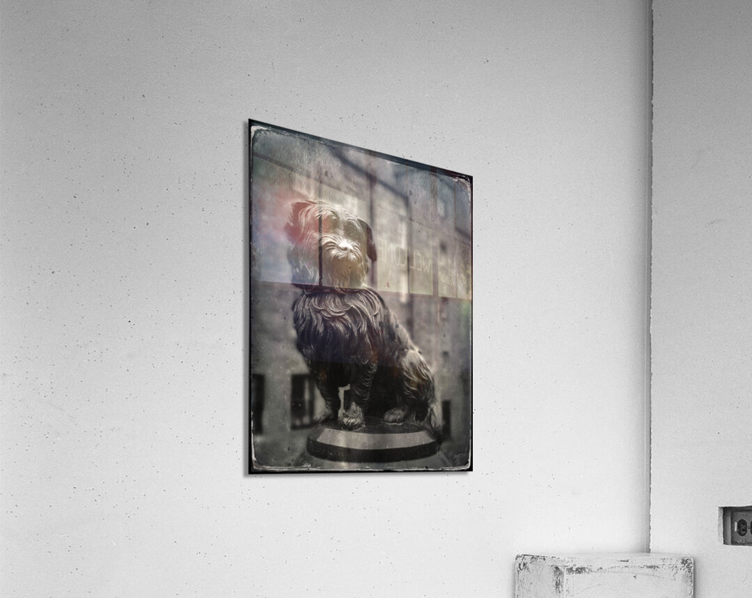 Greyfriars Bobby Acrylic Print