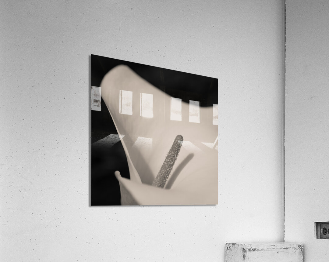 Calla Lily Beauty Impression acrylique